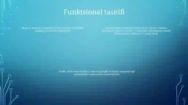 Axborot Tizimlarining Tasnifi 3