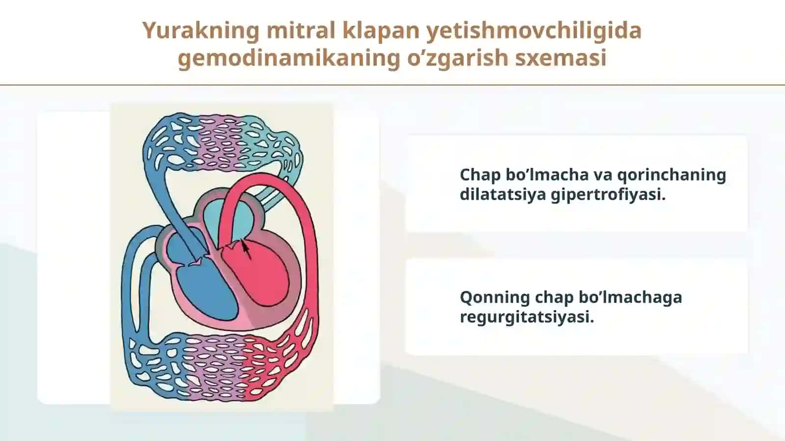 Revmatik isitma. Yurak nuqsonlari: Mitral nuqsonlar 3