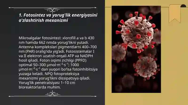 Mikroalgal bioreaktorlarning ishlash prinsipi 3