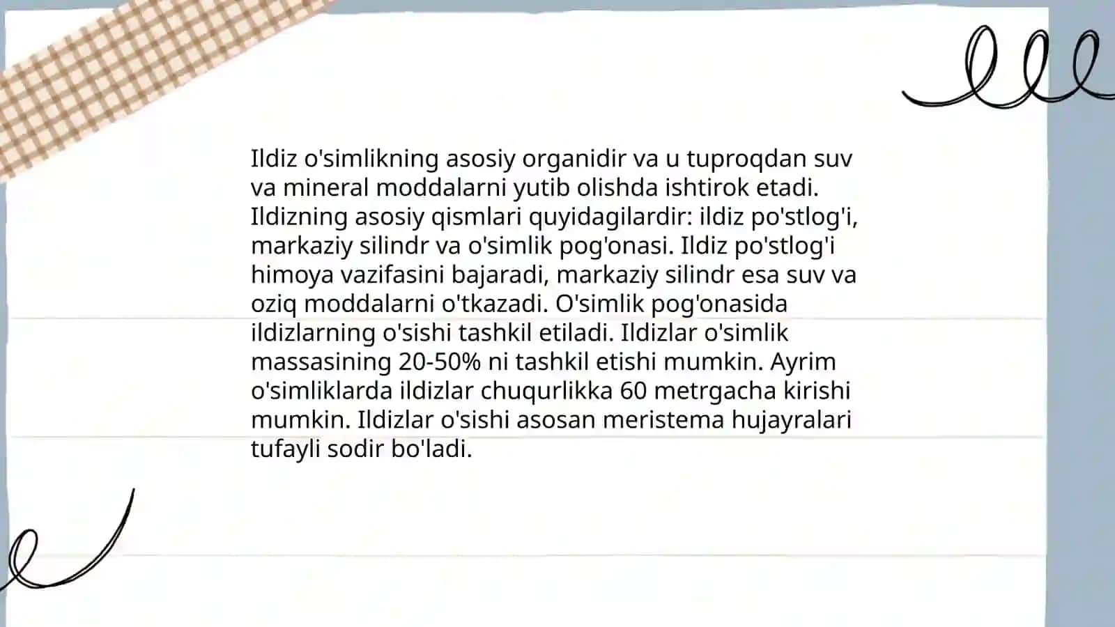 Ildiz va ildiz sistemasi 3