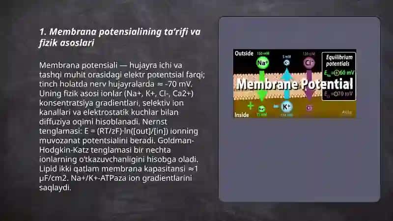 Membrana potensiali 3