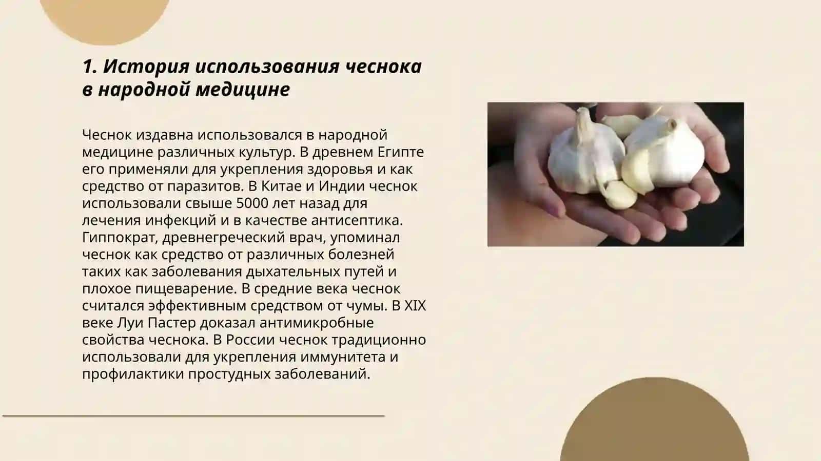 Целебные свойства чеснока 3