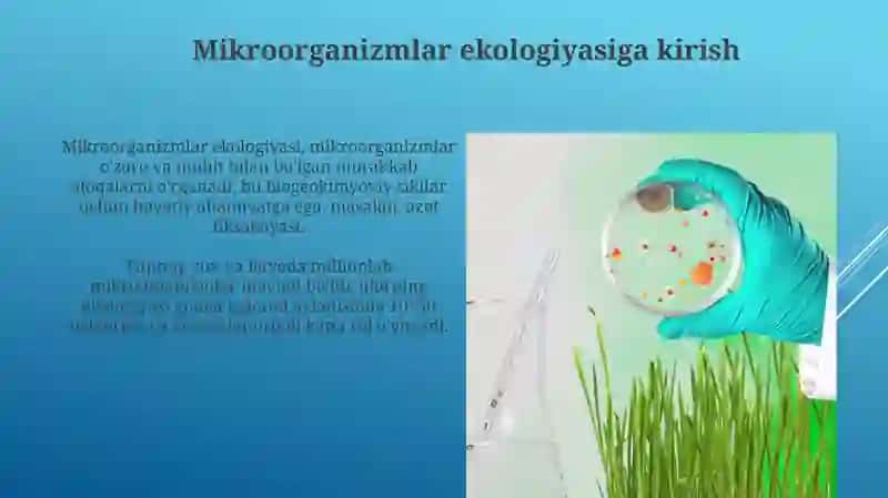Mikroorganizmlarning ekologiyasi 3