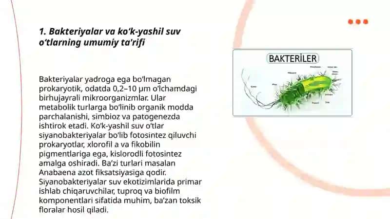Bakteriyalar va ko‘k-yashil suv o‘tlar 3