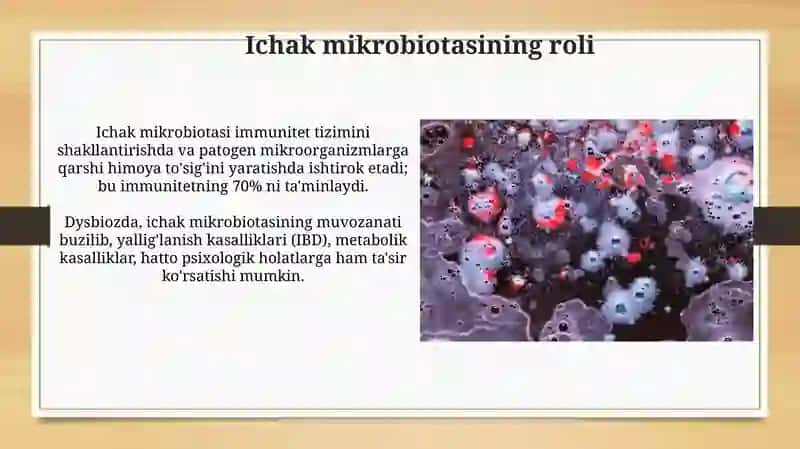 Ichak disbakteriozi, enteritlar 3