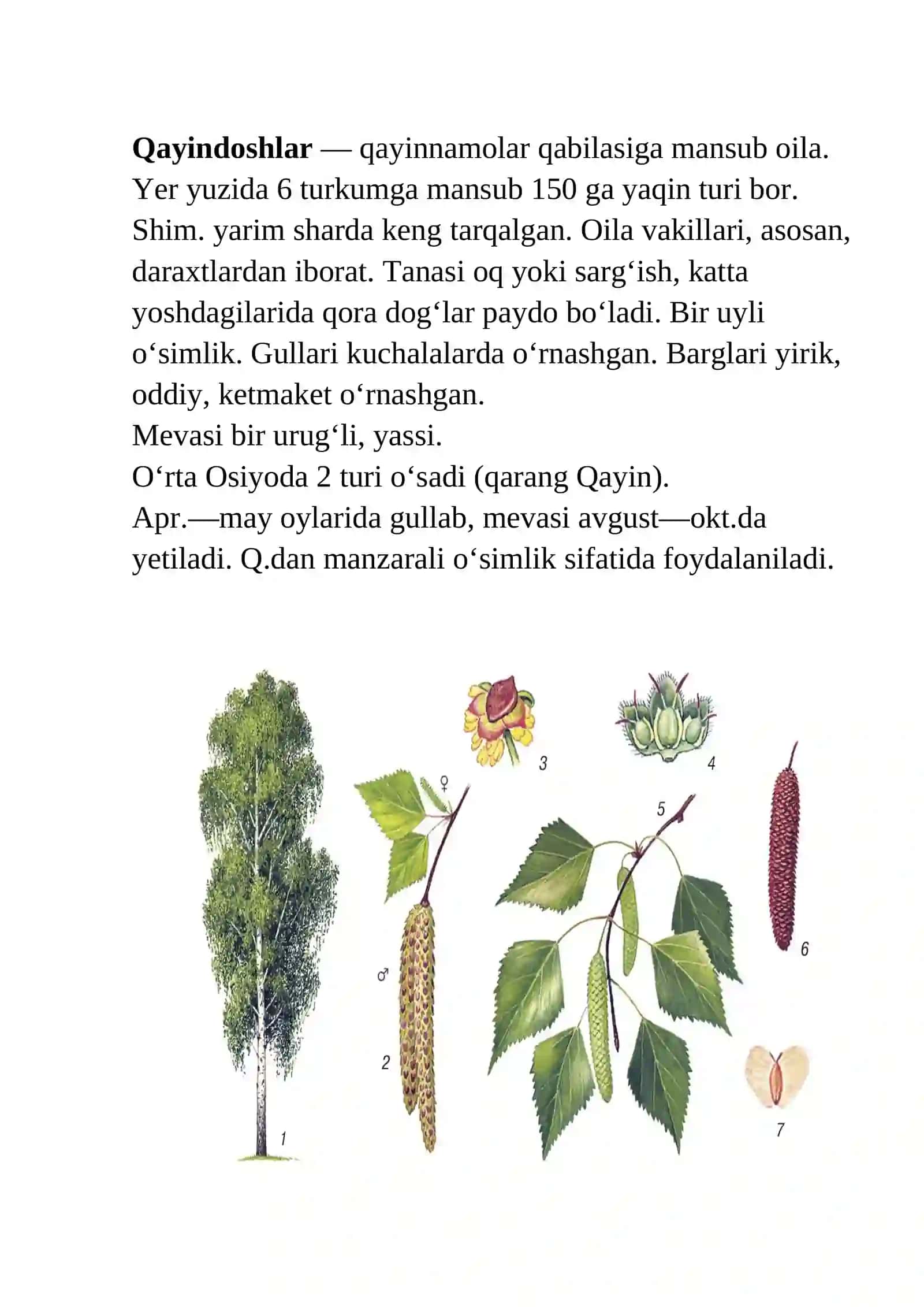 Qayindoshlar oilasi 3