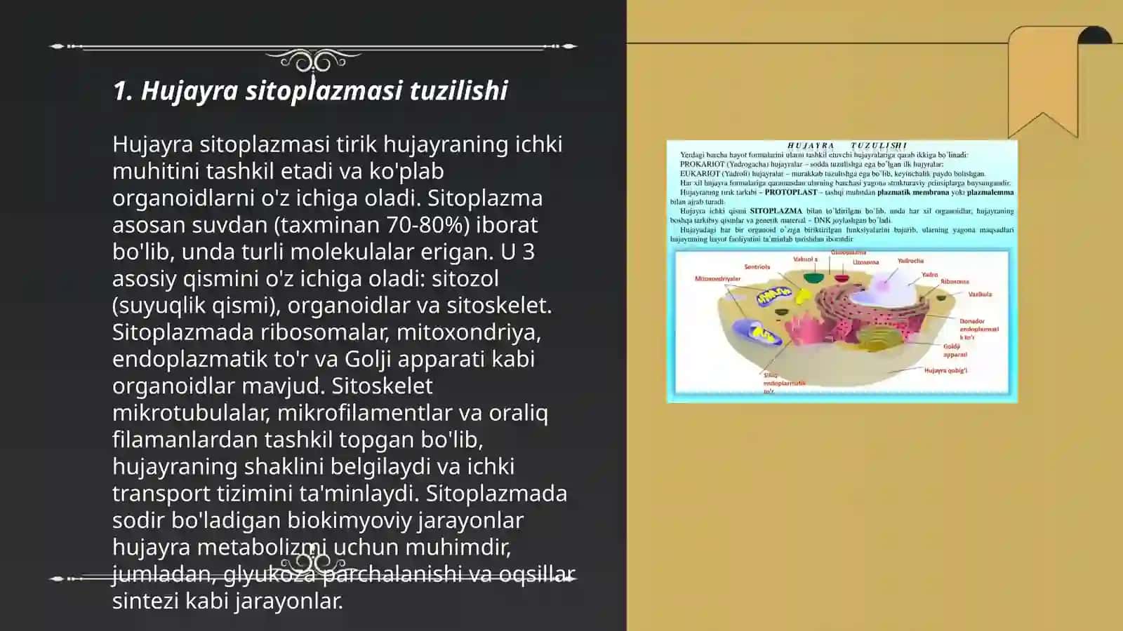 Hujayra sitoplazmasi tuzilishi 3