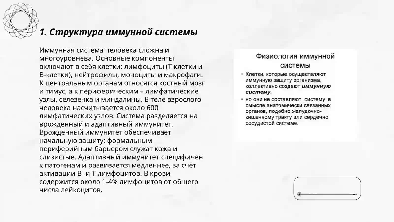 Физиологии иммунной системы 3
