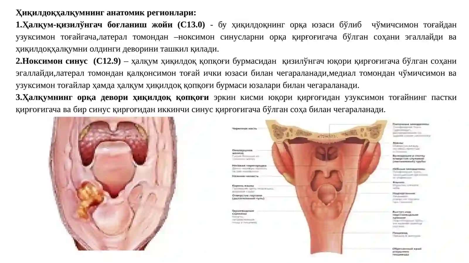 ҲИҚИЛДОҚ ҲАЛҚУМРАКИ 3
