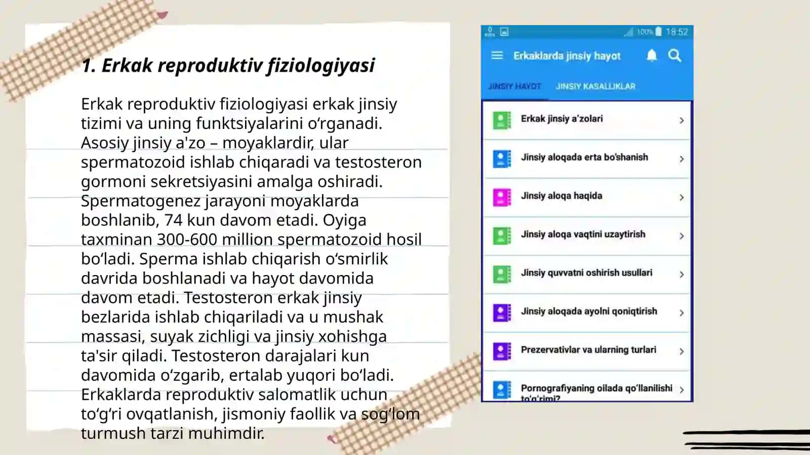 Erkaklar jinsiy tizimi 3