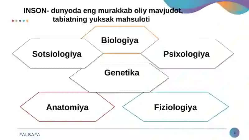 Insоn  falsafasi (Falsafiy  antropologiya) 3