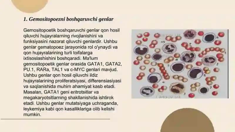 Gemositopoetik boshqaruvchi genlar 3