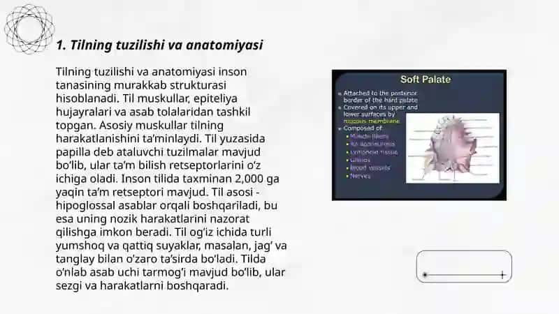 Anatomiya fanidan tayyorlagan mustaqil ish 3