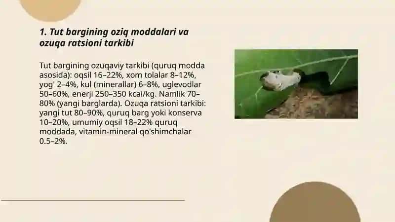 Tut ipak qurtini boqishda ozuqa ratsioni 3