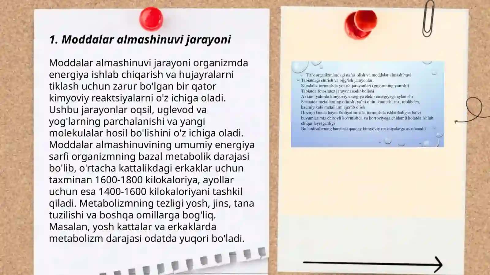 Moddalar va energiya almashinuvi. Yosh xususiyatlari 3