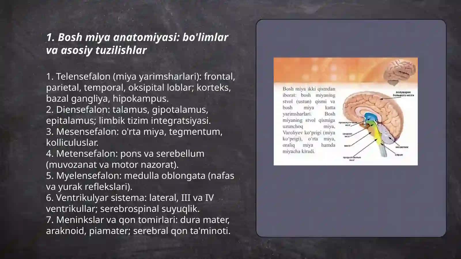 Bosh miya va orqa miya, Abdurazaqova Mohlaroyim 3