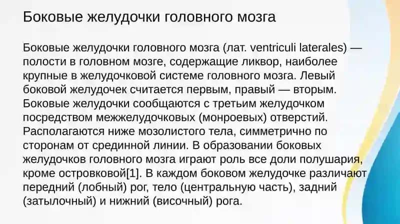 Kлиническое значение вариантной анатомии боковых желудочков 3