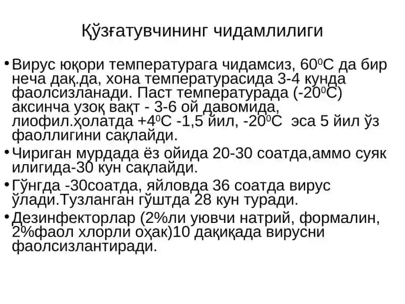 Қорамоллар ўлати 3