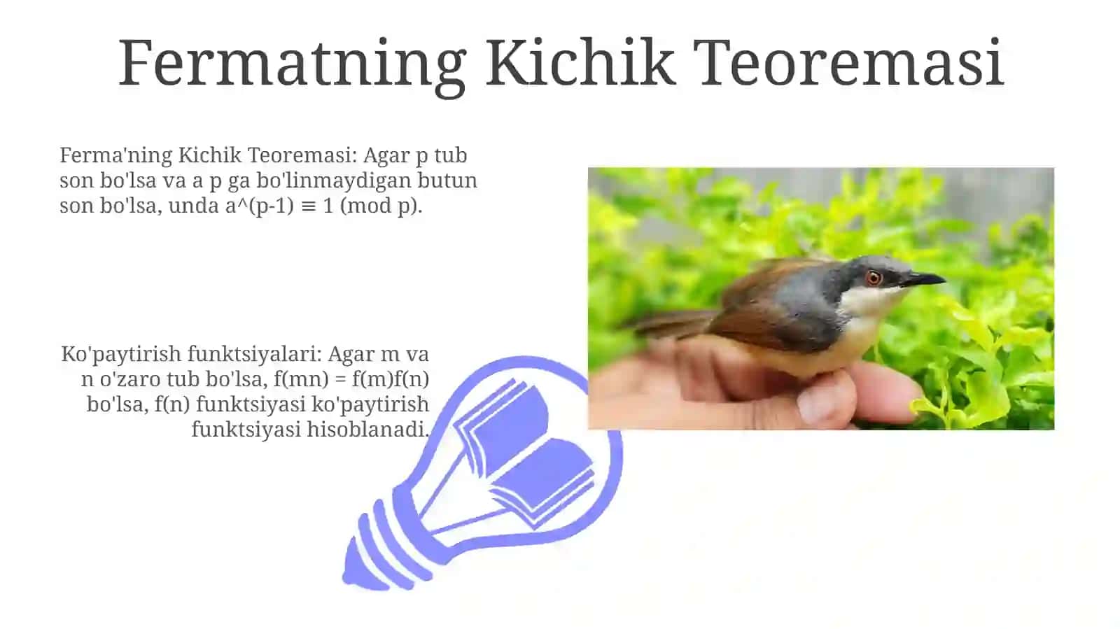 Ko'paytma Funktsiyalari 3