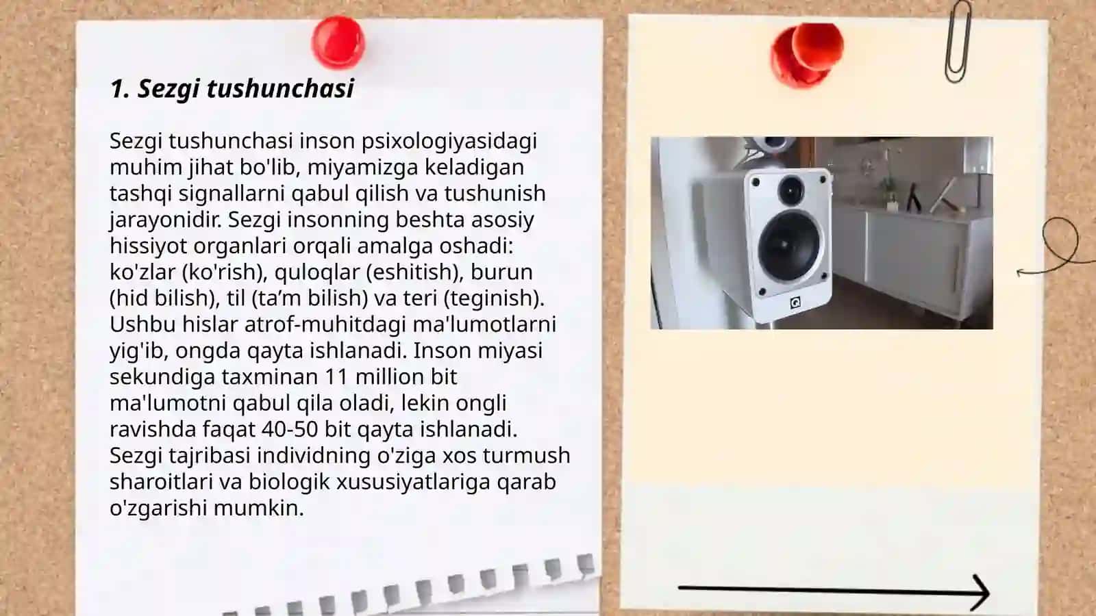 Sezgi sezgi haqida tushunchalar 3
