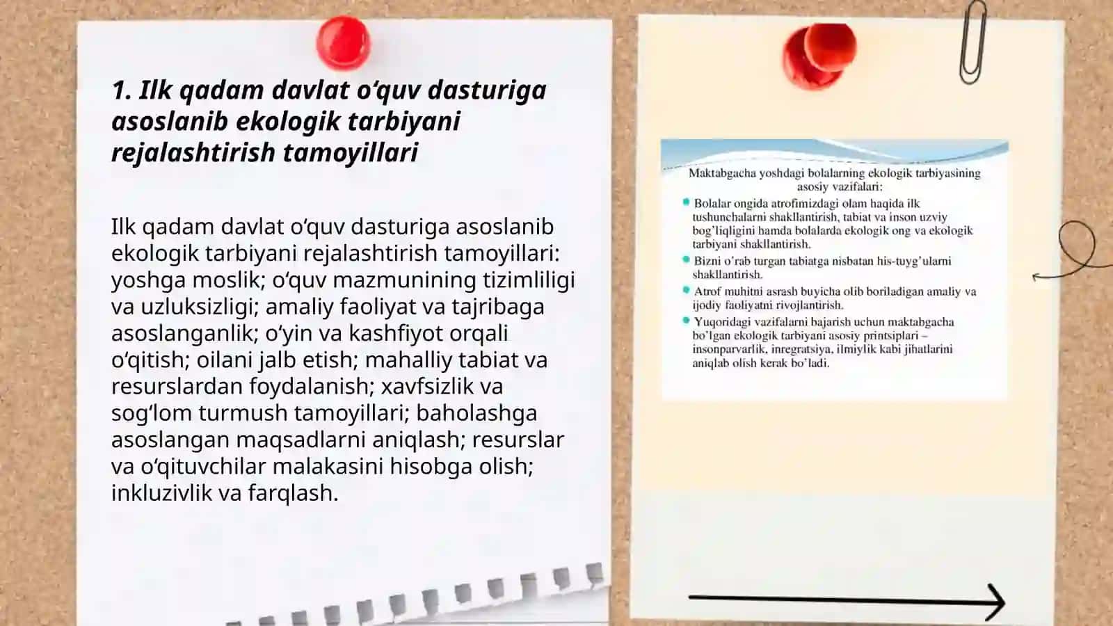 Ekologik tarbiya tashkili 3