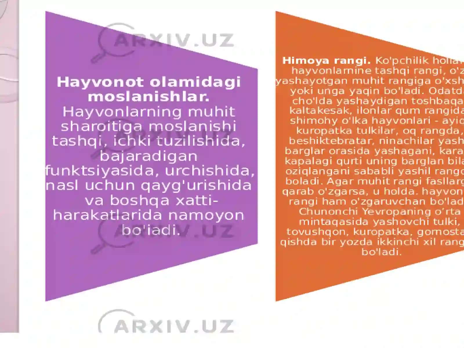 Hayvonot olamidagi moslanishlar 3