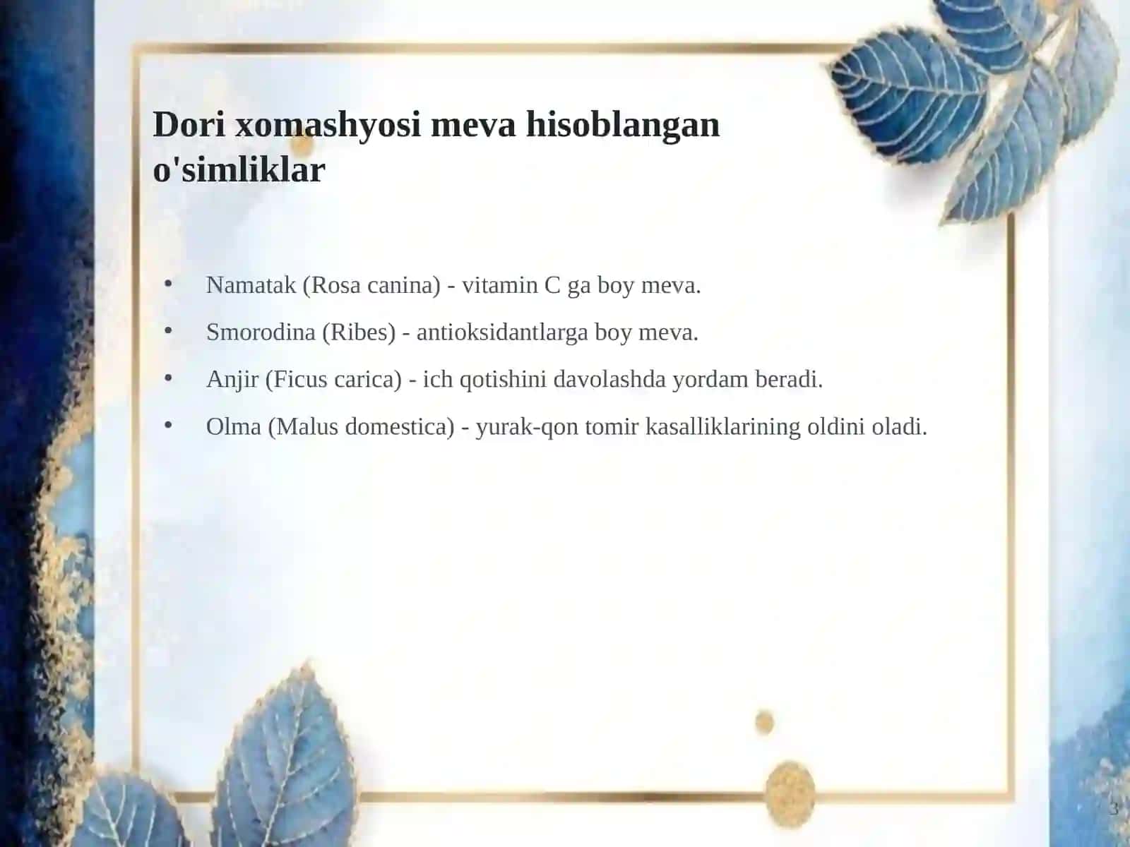 Dorivor o'simliklar: Meva xomashyosi 3