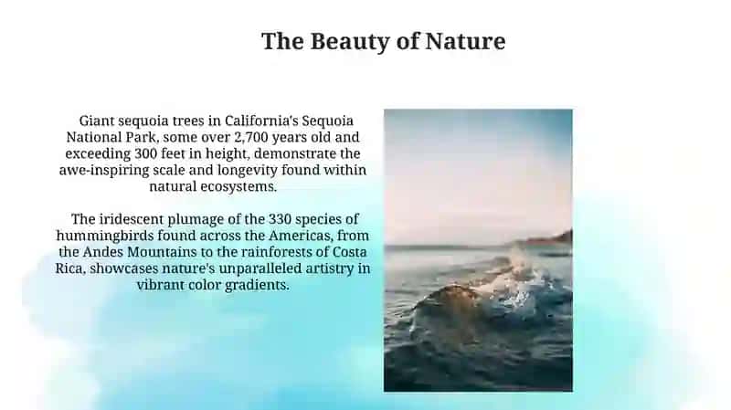 The Majesty of Nature 3