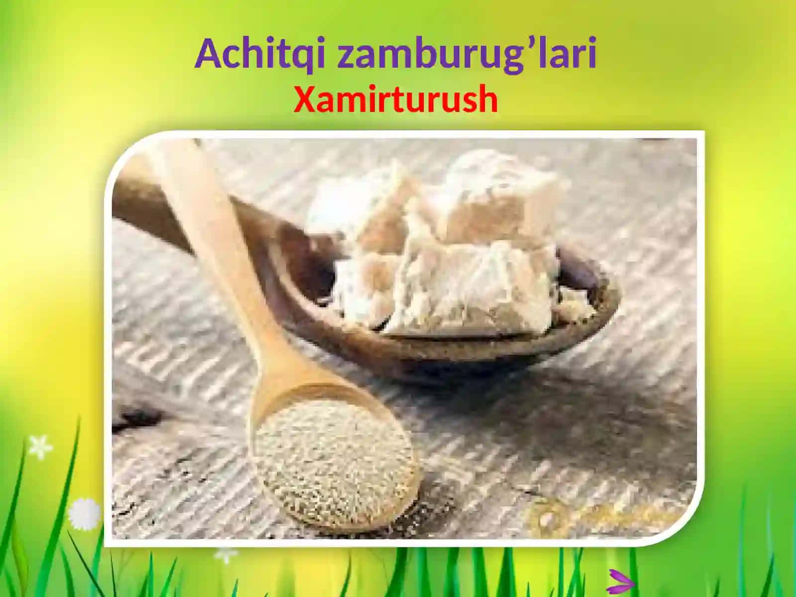 Zamburug’lardunyosi 3