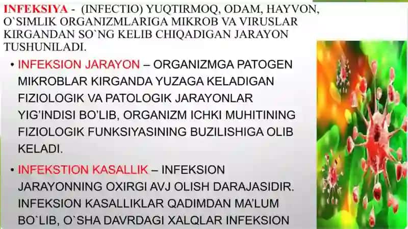 Infeksiya haqida ta'limot 3
