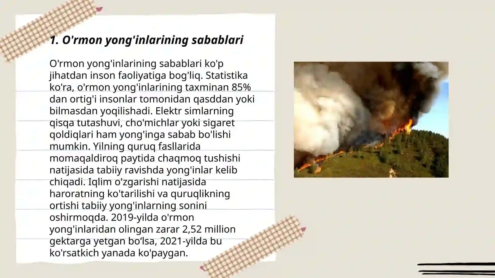 O'rmondagi yongʻinlar muammosi 3