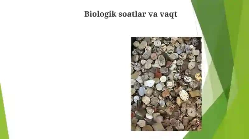 Biologik soatlar va vaqt 3