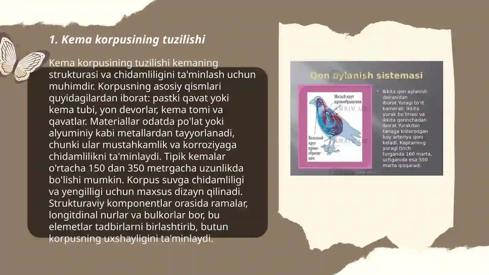Kaptarning tashqi va ichki tuzilishi 3