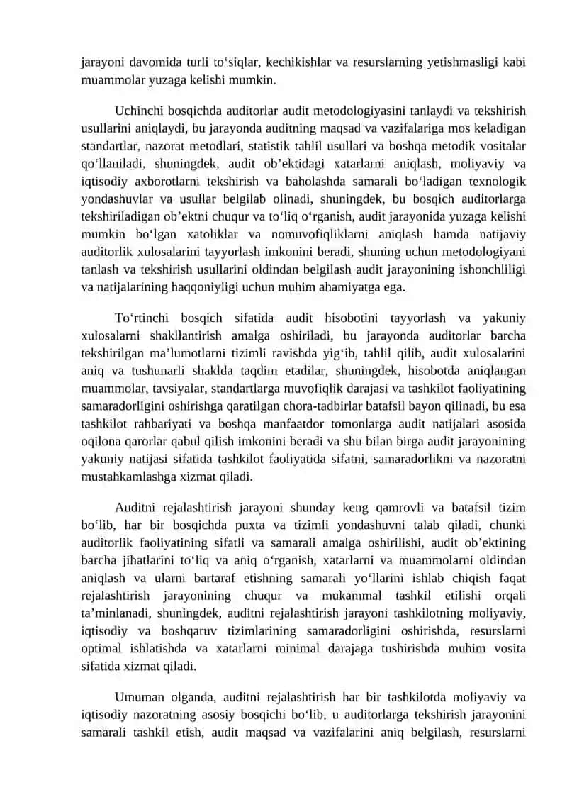 AUDITNI REJALASHTIRISH BOSQICHLARI 3