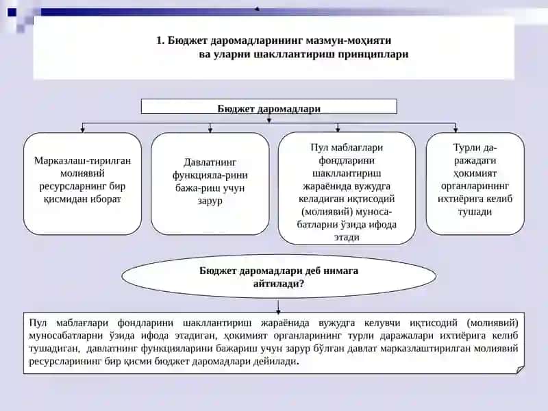 Бюджет даромадлари 3