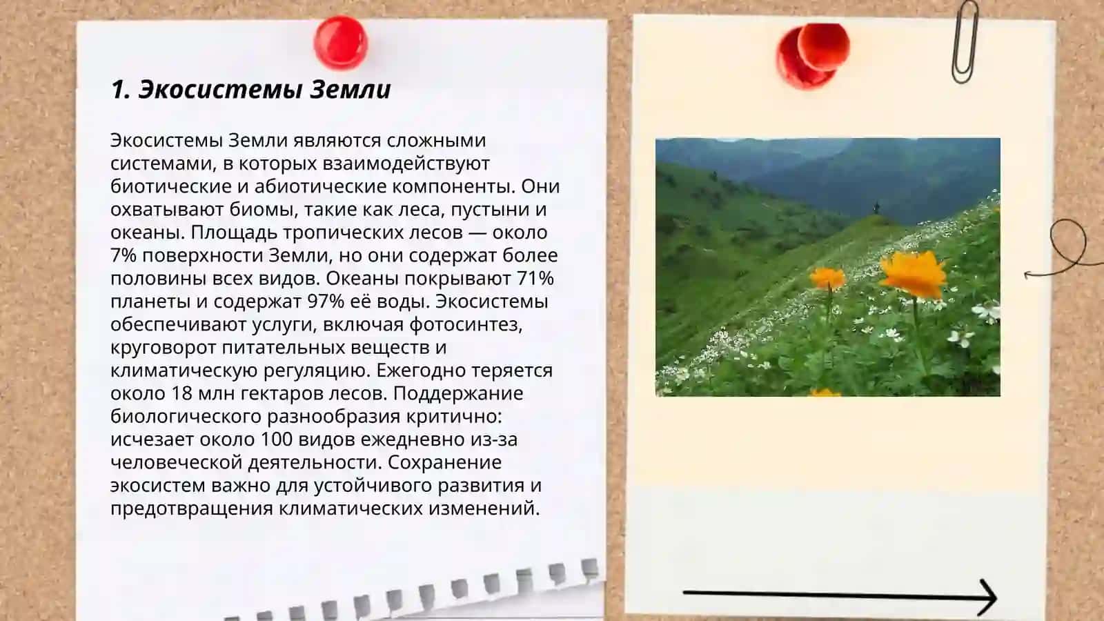 ПРОЙДИТЕ ЕКОТРОПОЙ. ПЛАНЕТА ЗЕМЛЯ 3