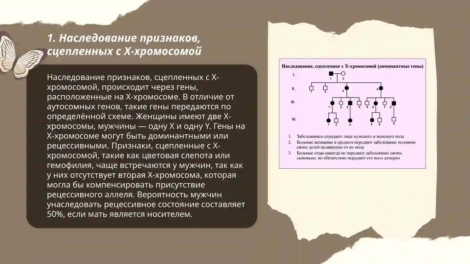 Наследование, связанное с Х-хромосомами 3