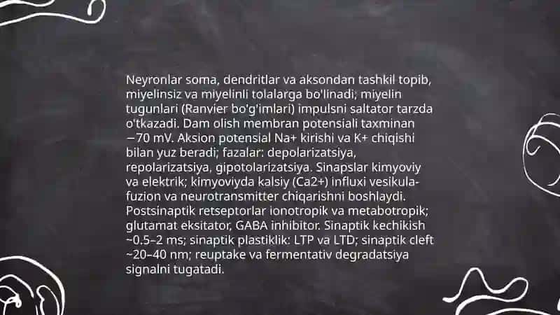 Bosh miya sohasi fiziologiyasi 3