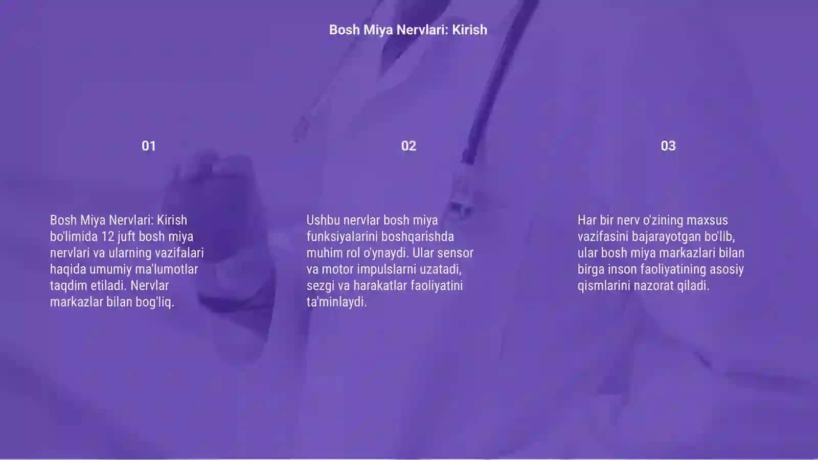 12 juft bosh miya nervlari markazlari va vazifasi 3