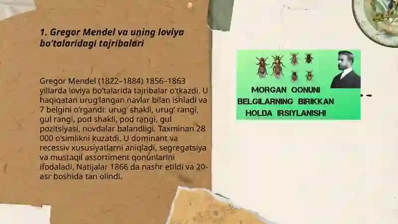 Gregor Mendel va uning loviya bo‘talaridagi tajribalari 3