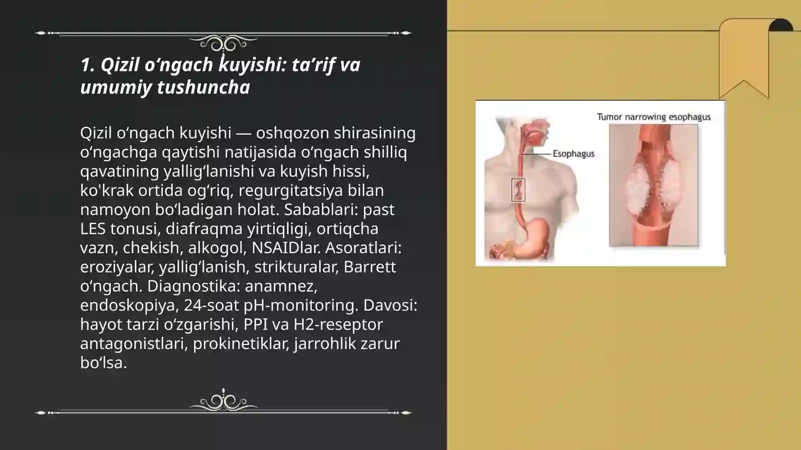 Qizil oʻngach kuyishi 3