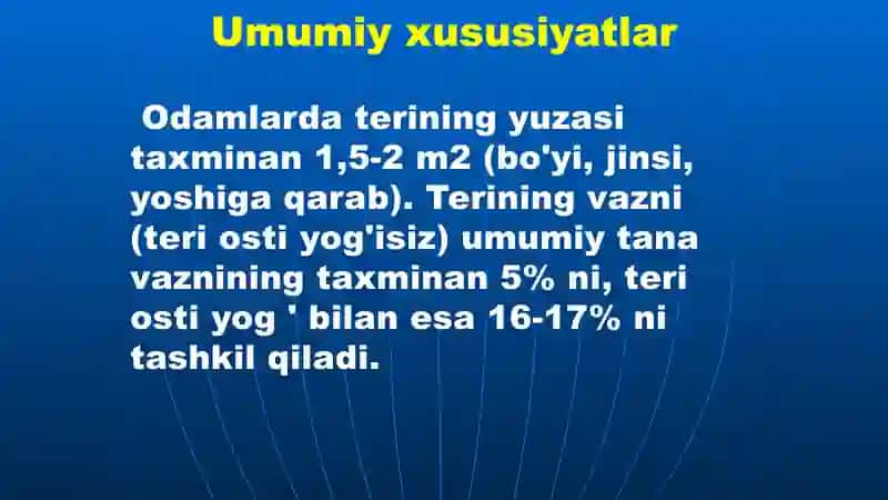 Teri va uning hosilalari / ppt 3