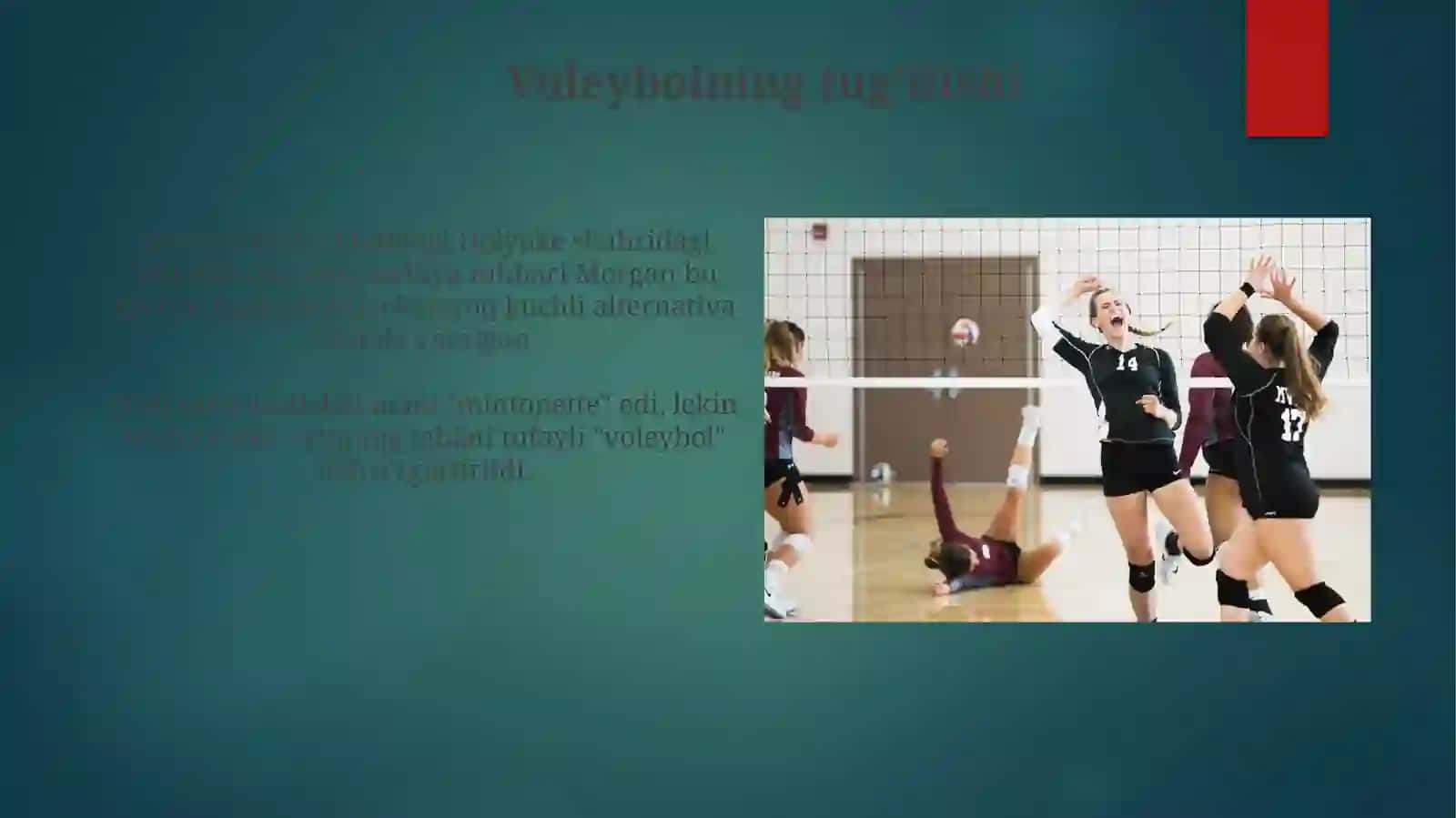 Voleybolnivujudgakelishi 3