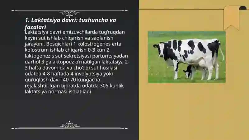 Qaromollarning sut berish laktatsiya davri 3