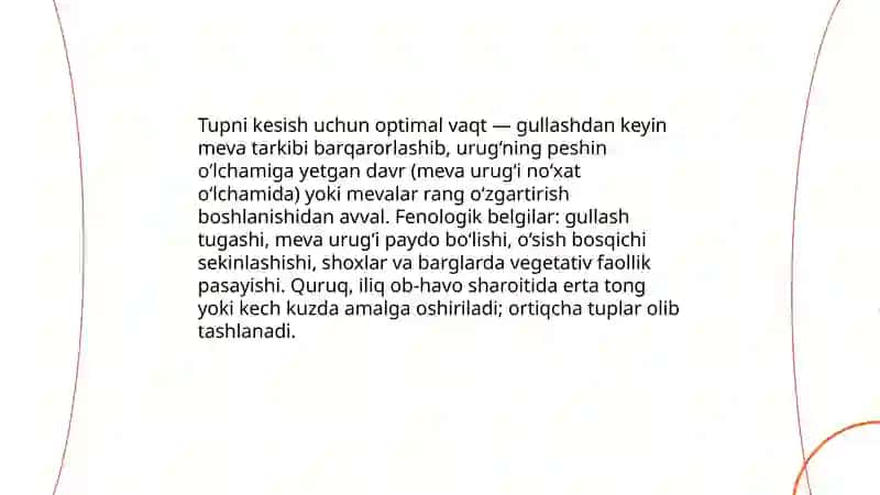 Uzumning xo'raki navlari tuplarini kesish 3