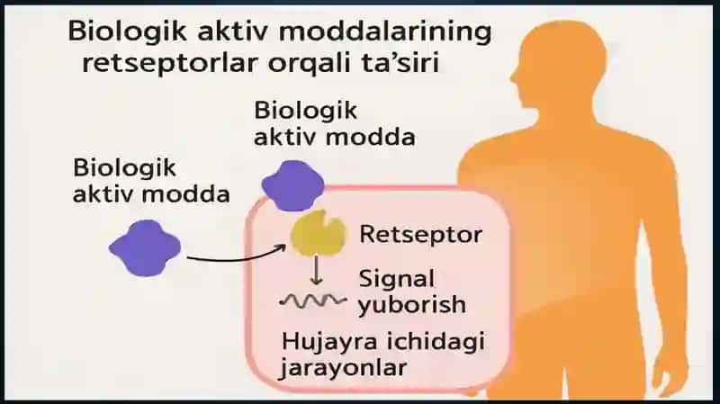 BiolagiokaktivmoddalaRTASIR ETISH MEXANIZMI 3