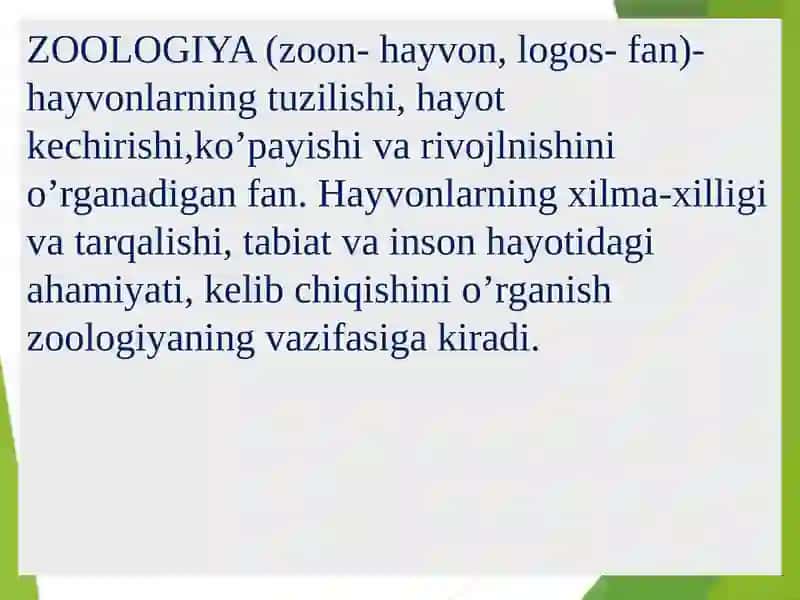 Zoologiya 3