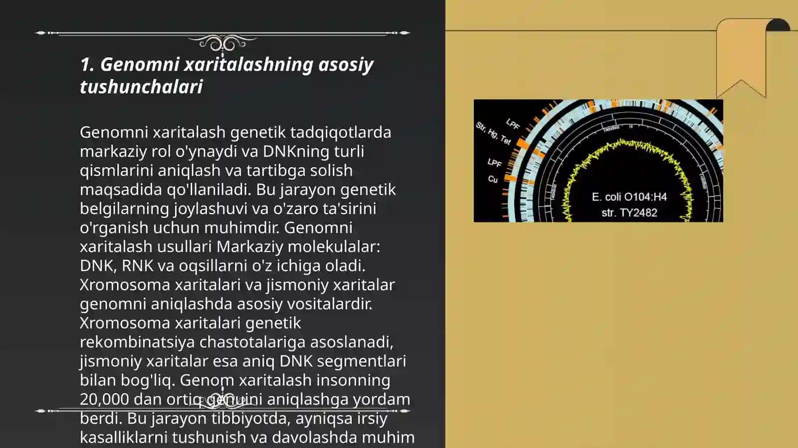 Genomni xaritalash dasturiy turlari 3