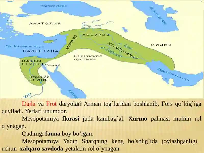 Qadimgi Mesopotamiya. Qadimgi Ossuriya. Qadimgi Xett 3