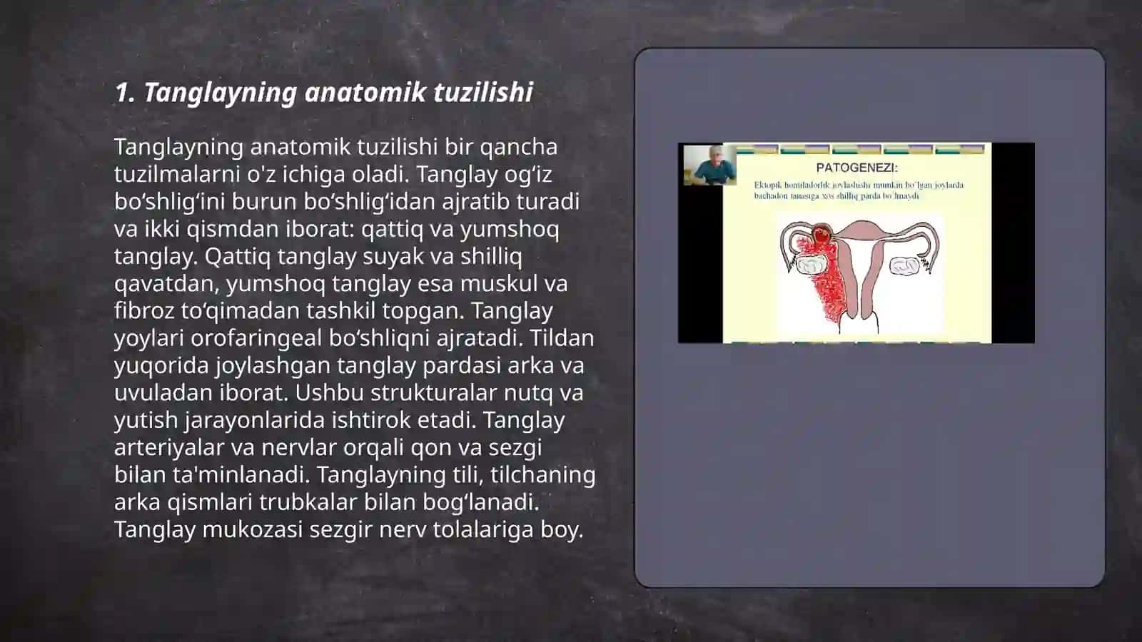 Tanglayning tuzilishi 3